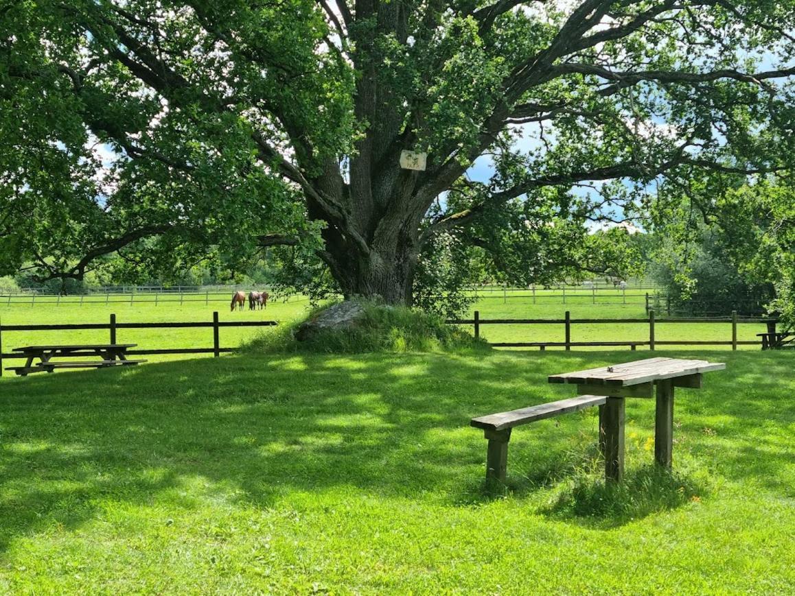 Thottska Villan Stromsholm Esterno foto