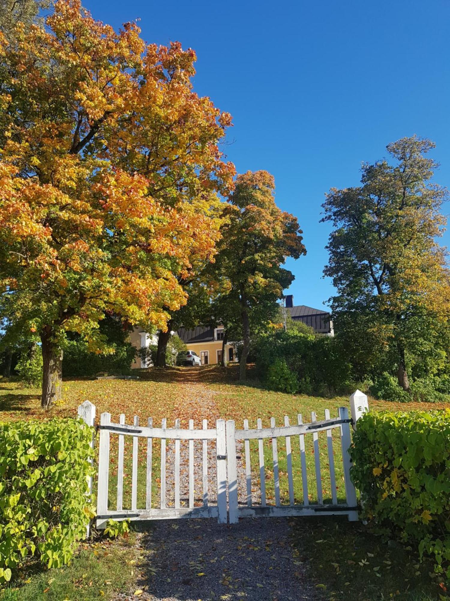 Thottska Villan Stromsholm Esterno foto